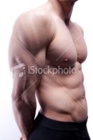 stock-photo-14456395-sexy-male-s-body-in-black-underwear.jpg