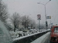 231.jpg