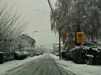 236.jpg