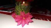 DSCN6671.JPG