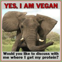 Yes, I am vegan.jpg
