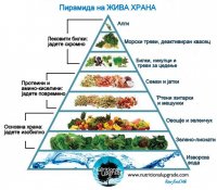 health Food Piramid.jpg