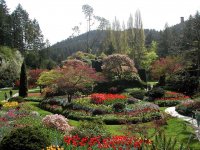 Butchart-Gardens-Sunken-Garden-01 (1).jpg