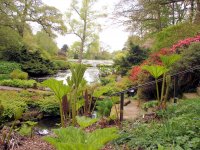 Water-Garden-in-Late-Spring.jpg