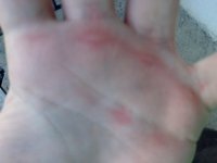 110220131267.jpg