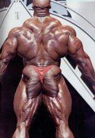 fotos_ronnie_coleman_233.jpg