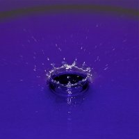 3444967826_685ff600cd_z.jpg