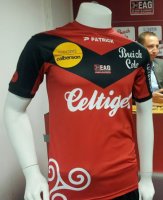 Guingamp 13-14 Home Kit 1.jpg