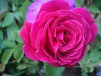 20130626_190044.jpg