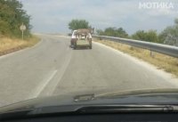 04-motika.com.mk-se-nasmea-li-denes.jpg