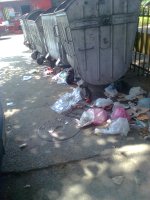 Picture 525.jpg