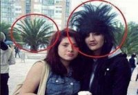 09-motika.com.mk.jpg