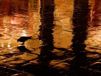 rainy-street-richardson_26520_600x450.jpg
