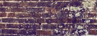 brick_wall_2-wallpaper-1366x768.jpg