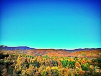 IMG_20131107_042757.jpg