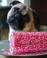 happysnail-9.jpg