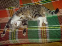 DSC00744.JPG