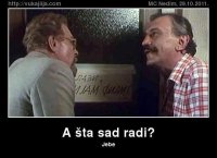 zika.jpg