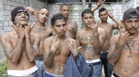 Mara-Salvatrucha-Gang-El-Salvador.jpg