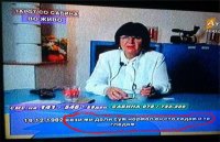 wolf sliki foro   forum.jpg