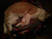 IMG_20131121_200250.jpg