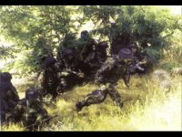 bscap0043.jpg bscap0043.jpg