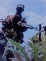 Picture_154.jpeg Picture_154.jpeg