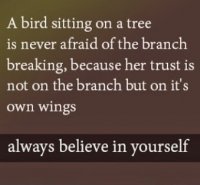 A bird sitting on a tree.jpg