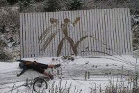 23213.jpg