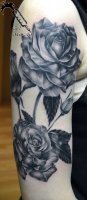rosses01.jpg