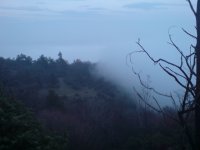 DSC01023.JPG