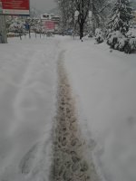 2012-02-13 10.38.52.jpg
