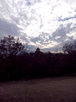 IMG_20140208_153114.jpg