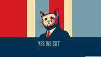 yes_we_cat-wallpaper-1366x768.jpg