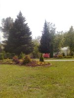 Picture 1474.jpg