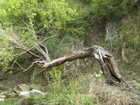 BILD0290.JPG