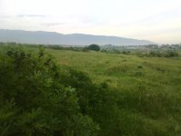 IMG_20140512_095715.jpg