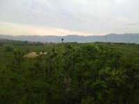 IMG_20140512_095719.jpg
