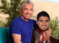 suarez.jpg