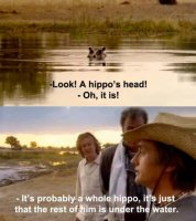 hippo.jpg