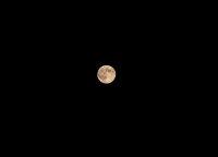 DSC_0316.jpg