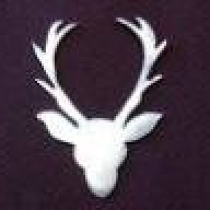 velvetdeer