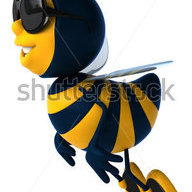 bumblebee511