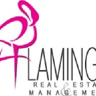 flamingo1