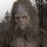 sasquatch