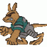 kengur