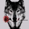 Butcher321007