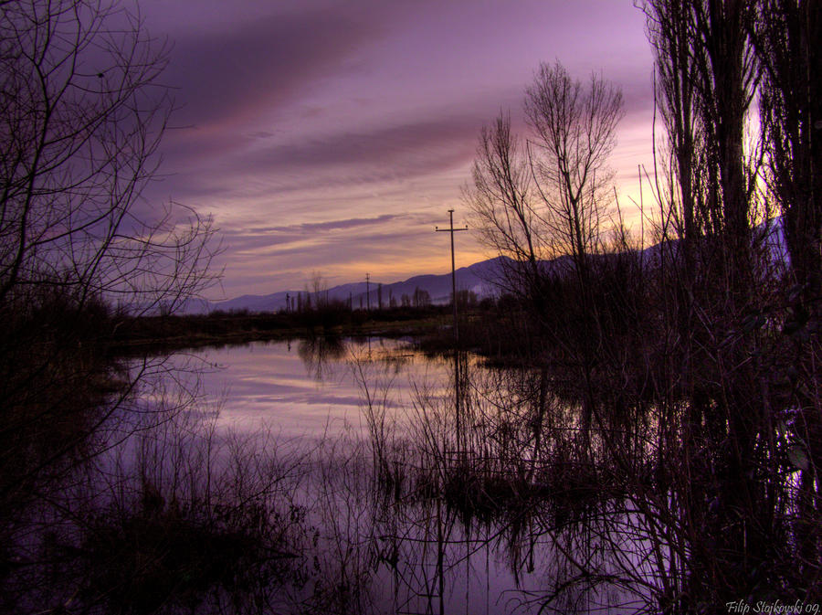 Peace_and_Silence_by_FLixter.jpg