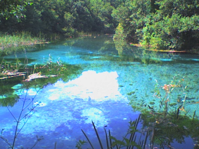 dsc00210.jpg