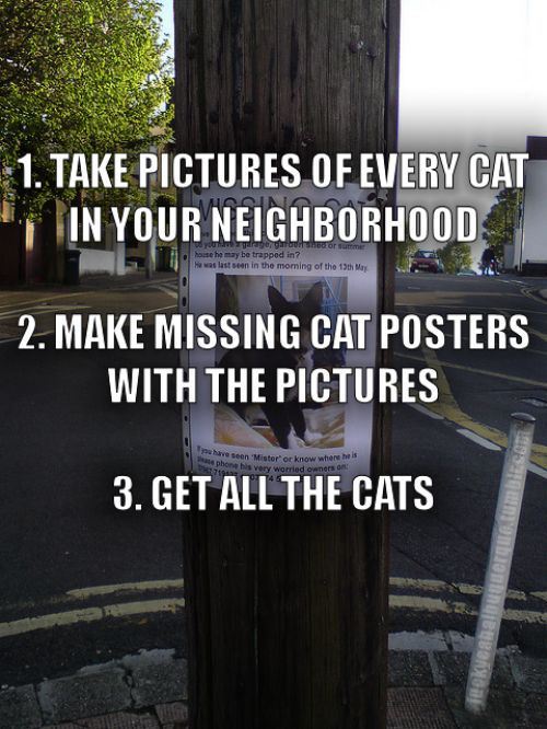 tumblr_mmbrvsmh7g1r0wqrdo1_500.jpg